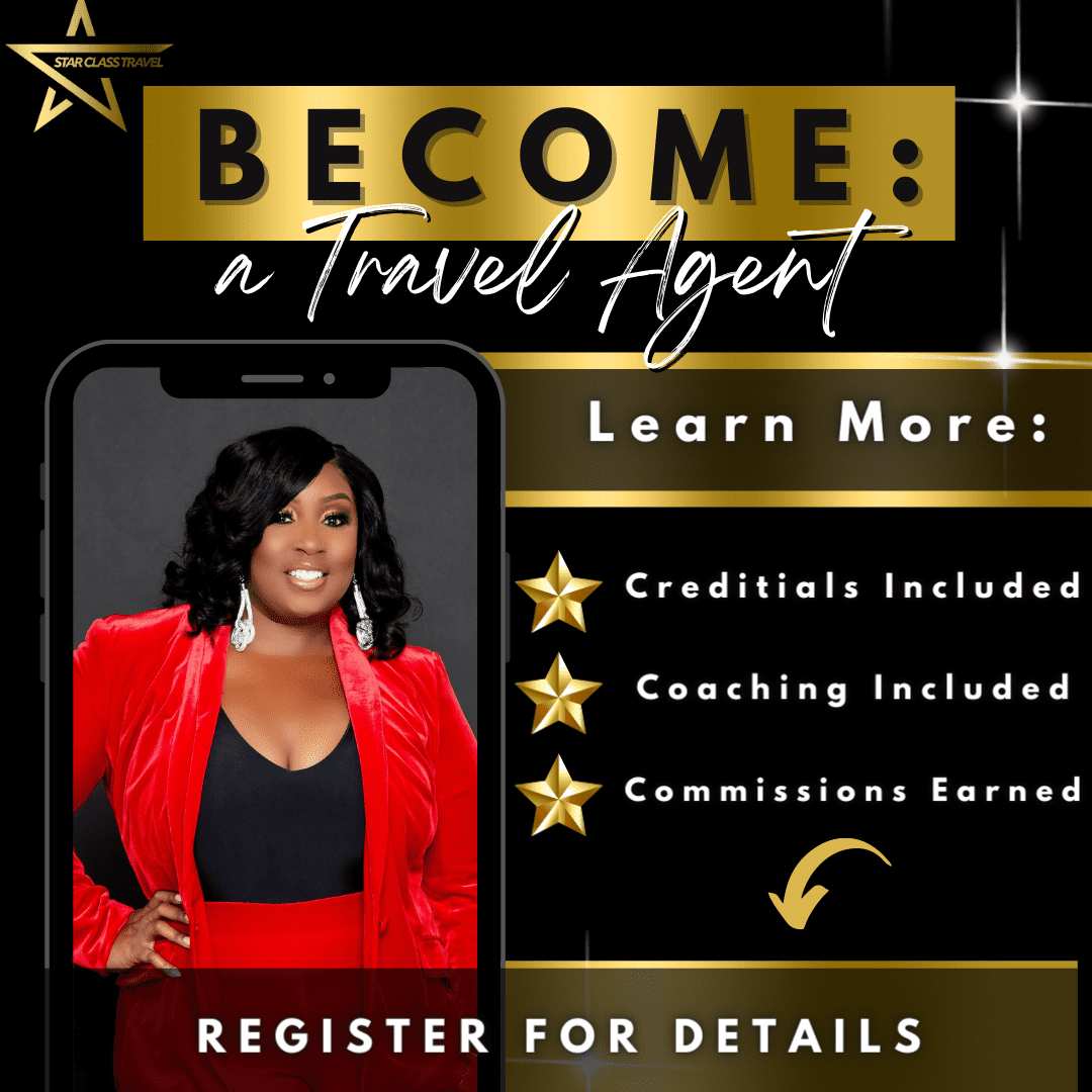 Become A Travel Agent Pic